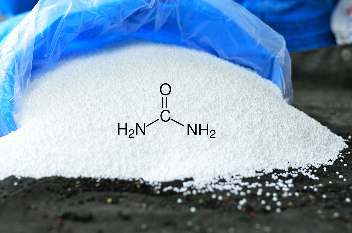 How is urea fertilizer produced