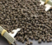 what is diammonium phosphate