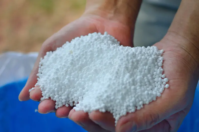 where to buy urea fertilizer