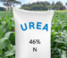 The Advantages of Urea Fertilizer for Crops