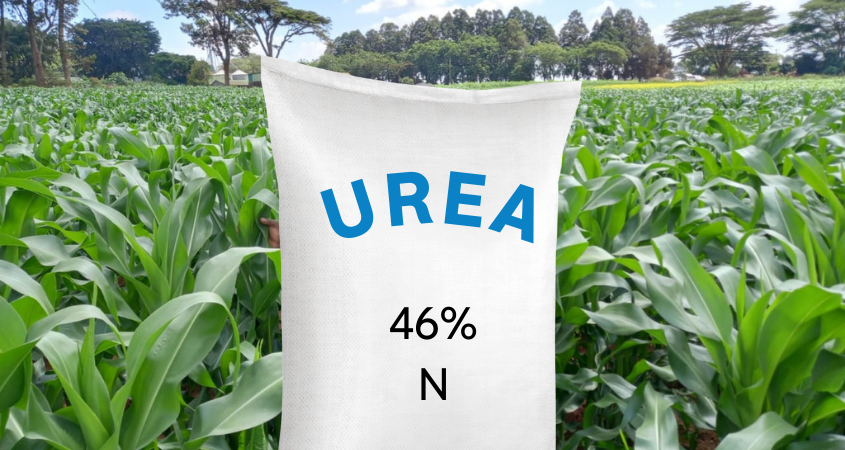 The Advantages of Urea Fertilizer for Crops